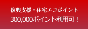 復興支援・住宅エコポイント、３０万ポイント利用可能です！