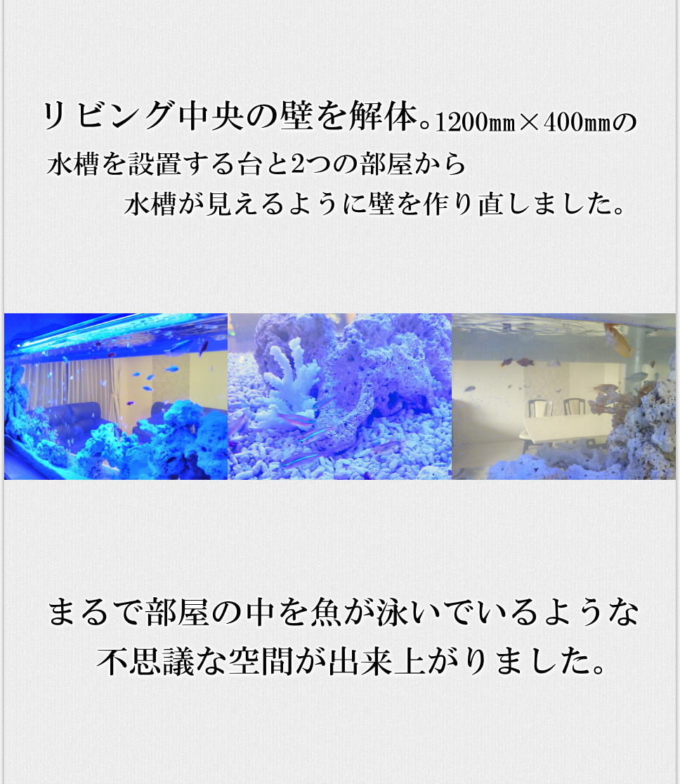 まるで部屋の中を魚が泳いでいるような不思議な空間が出来上がりました。