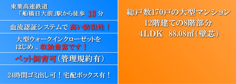 ルイシャトレ船橋習志野台の特徴